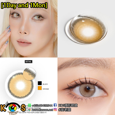 [1Day and 1Month]Siesta Sahara Fox 사하라 폭스